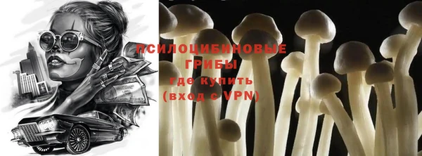 бутират Баксан