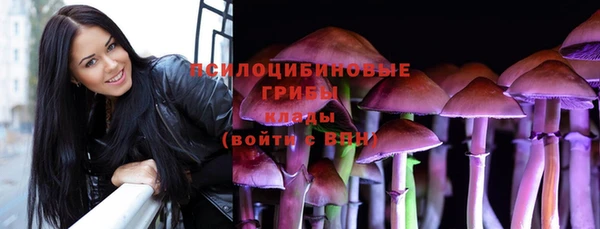 Альфа ПВП Балахна