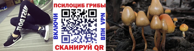 Галлюциногенные грибы ЛСД  даркнет сайт  Беслан 